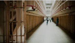 When 'Crime' Is Just the Cost of Surviving