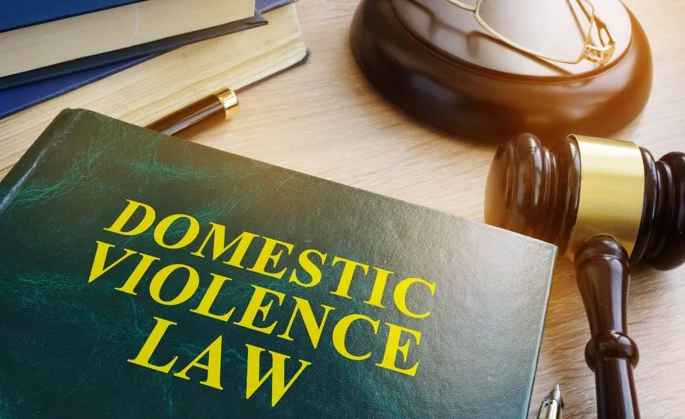 domestic assault police statement